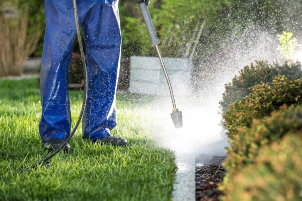 Cost of Curb Cleaning in Nokomis