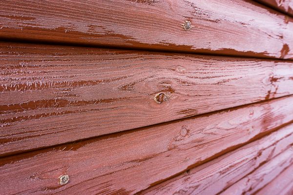 Cost of Cedar Siding Cleaning in Nokomis
