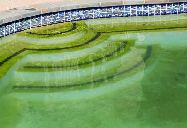 Pool Deck Algae Removal in Nokomis