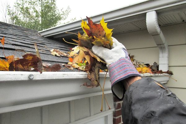 Cost of Eaves Cleaning in Nokomis