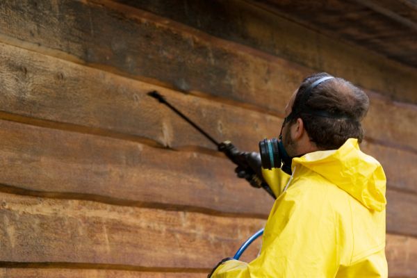 Cedar Siding Washing in Nokomis