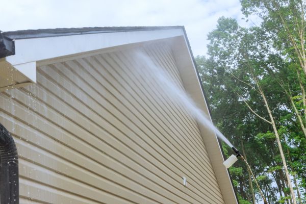 Cost of Siding Cleaning Service in Nokomis