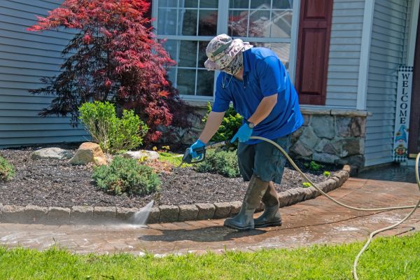 Brick Walkway Cleaning in Nokomis