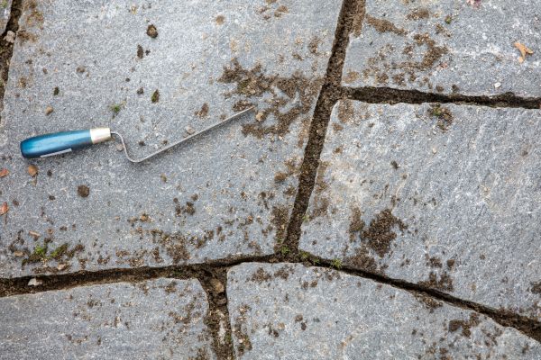 Cost of Flagstone Patio Cleaning in Nokomis